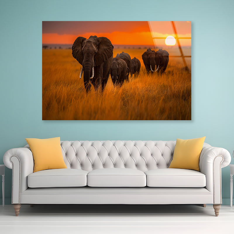 Elephants Walking Through a Field at Sunset View Acrylic Glass Print Tempered Glass Wall Art 100% Made in Australia Ready to Hang