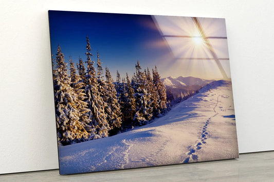 Snow Pine Forest View UV Direct Aluminum Print Australian Made Quality