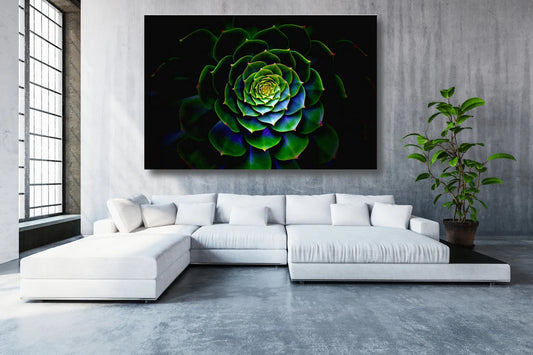 Cactus Flower Acrylic Glass Print Tempered Glass Wall Art 100% Made in Australia Ready to Hang