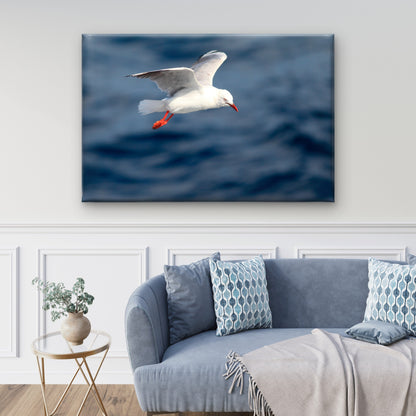 Australian Silver Gull Bird Flying Wall Art Decor 100% Australian Made