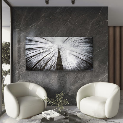 Low Angle View Of Trees Wall Art Canvas Office Home Room Framed 120x60cm
