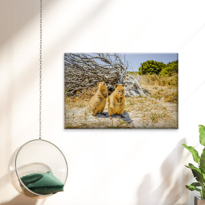 Quokka Rottnest Island Western Australia Wall Art Decor 100% Australian Made