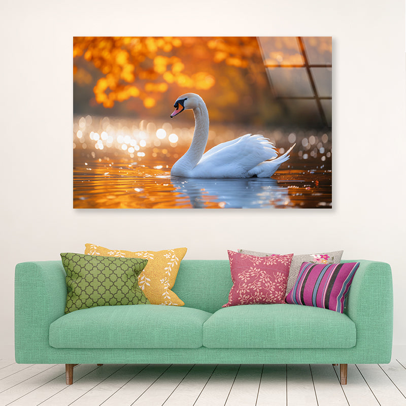Swans on Autumn Pond View Acrylic Glass Print Tempered Glass Wall Art 100% Made in Australia Ready to Hang