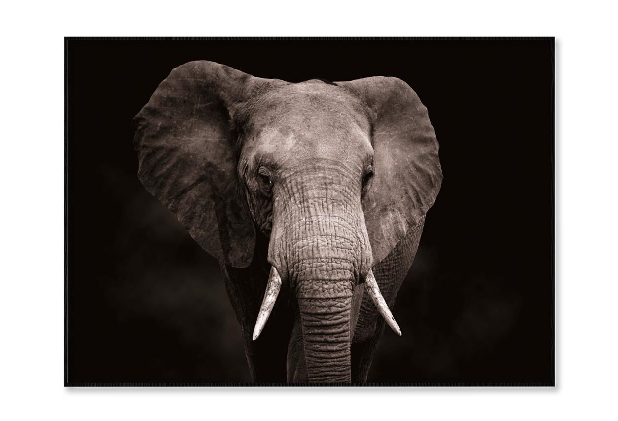 Elephant With Tusks Walking Home Decor Premium Quality Poster Print Choose Your Sizes