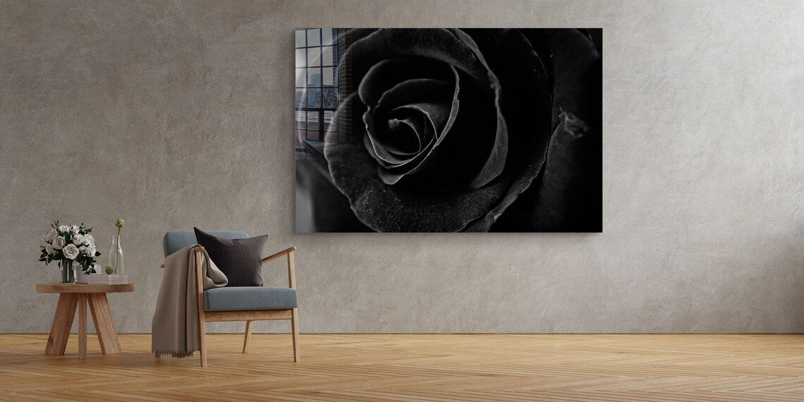 Black Rose Closeup View UV Direct Aluminum Print Australian Made Quality