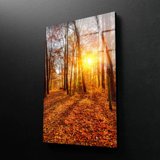 Sunrays Forest Sunset UV Direct Aluminum Print Australian Made Quality
