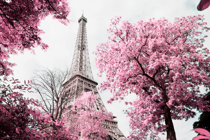 Pink Tree In Front of The Eiffel Tower Wall Art Decor 100% Australian Made