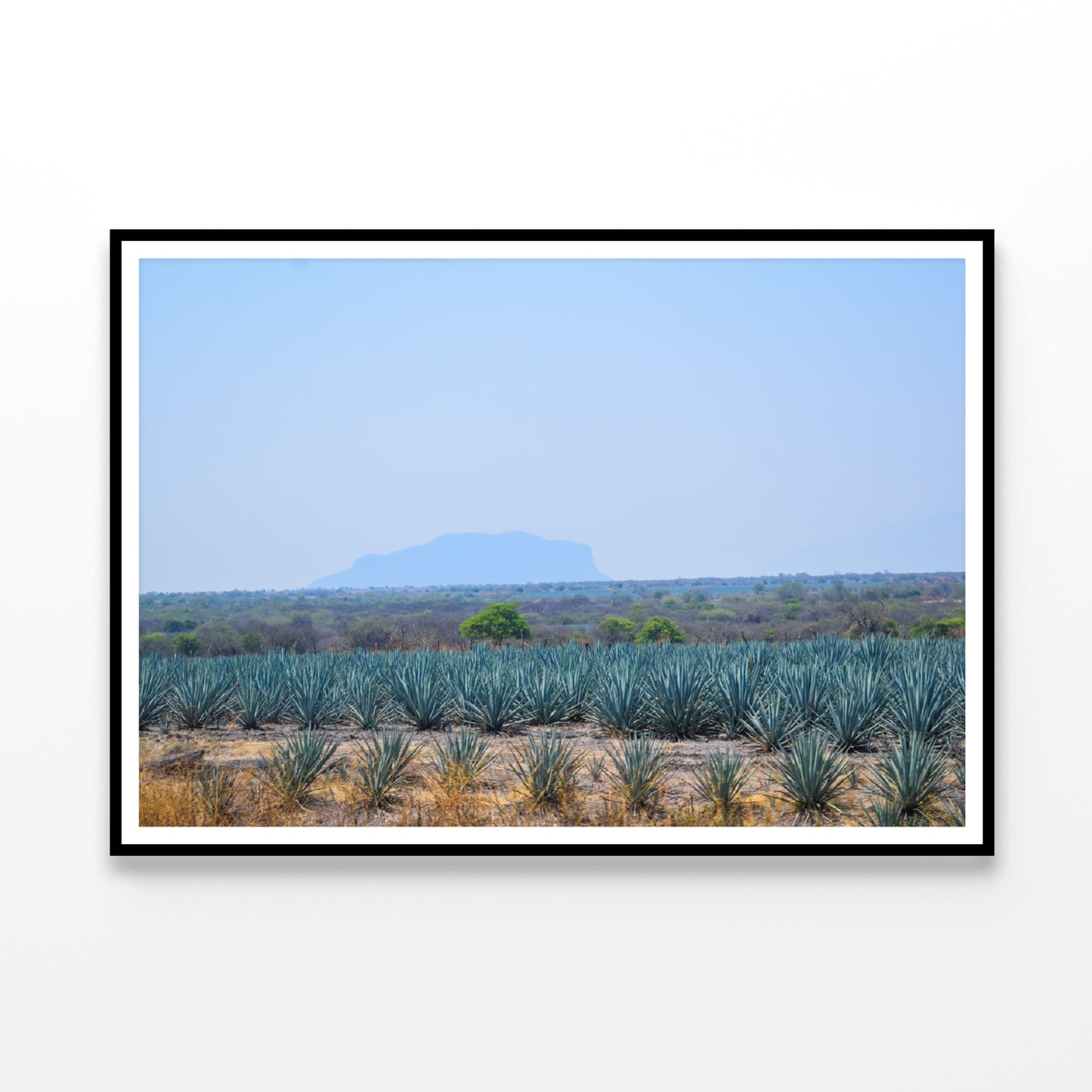 View of a Field Of Green Plants with a Mountain Home Decor Premium Quality Poster Print Choose Your Sizes