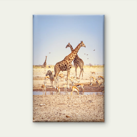 African Giraffes Zebras Springboks National Park Namibia Wall Art Decor 100% Australian Made