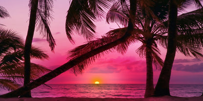 Tropical Pink Sunset Beach Palm Tree Wall Art Canvas Office Home Framed 120x60cm