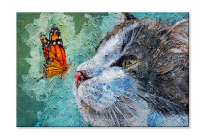 Cat and Butterfly on Nose. Cute Kitten Sleeping With Insect Wall Art Limited Edition High Quality Print