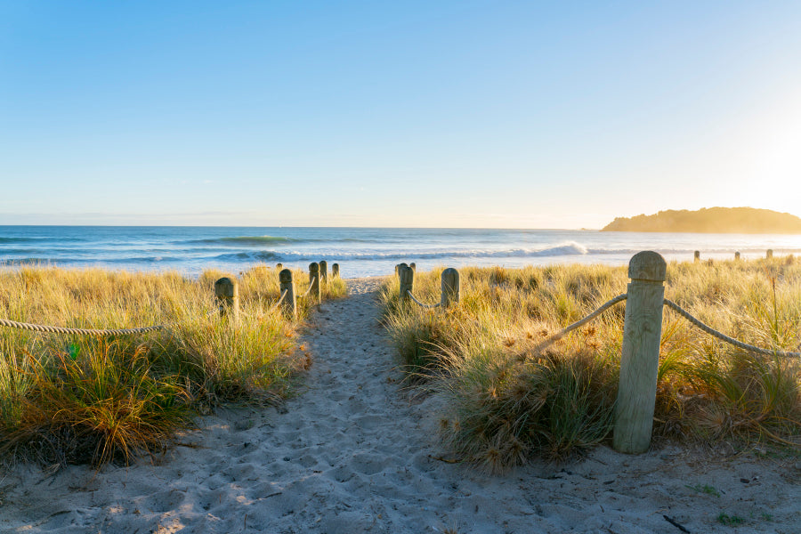 Bollards And Grassy Dunes Leading to Beach Acrylic Glass Print Tempered Glass Wall Art 100% Made in Australia Ready to Hang - Bella Home Decor