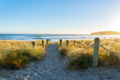 Bollards And Grassy Dunes Leading to Beach Acrylic Glass Print Tempered Glass Wall Art 100% Made in Australia Ready to Hang - Bella Home Decor