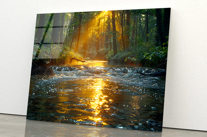 River in the Forest Acrylic Glass Print Tempered Glass Wall Art 100% Made in Australia Ready to Hang - Bella Home Decor