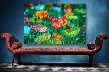 Colorful Poppy Field UV Direct Aluminum Print Australian Made Quality