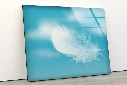 Feather Photograph UV Direct Aluminum Print Australian Made Quality