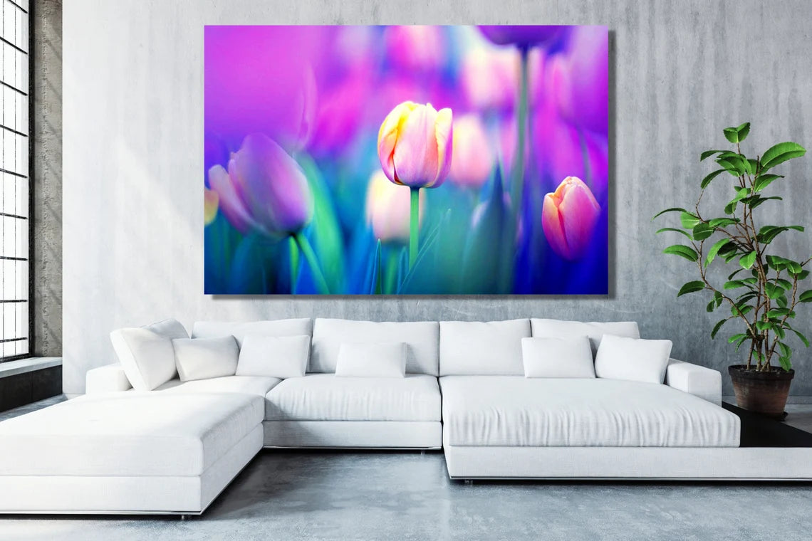 Tulip Flower UV Direct Aluminum Print Australian Made Quality