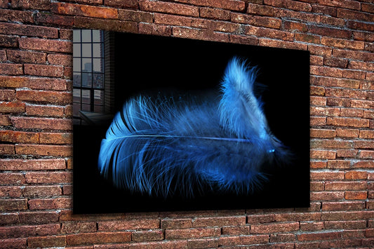 Blue Feather on Dark UV Direct Aluminum Print Australian Made Quality