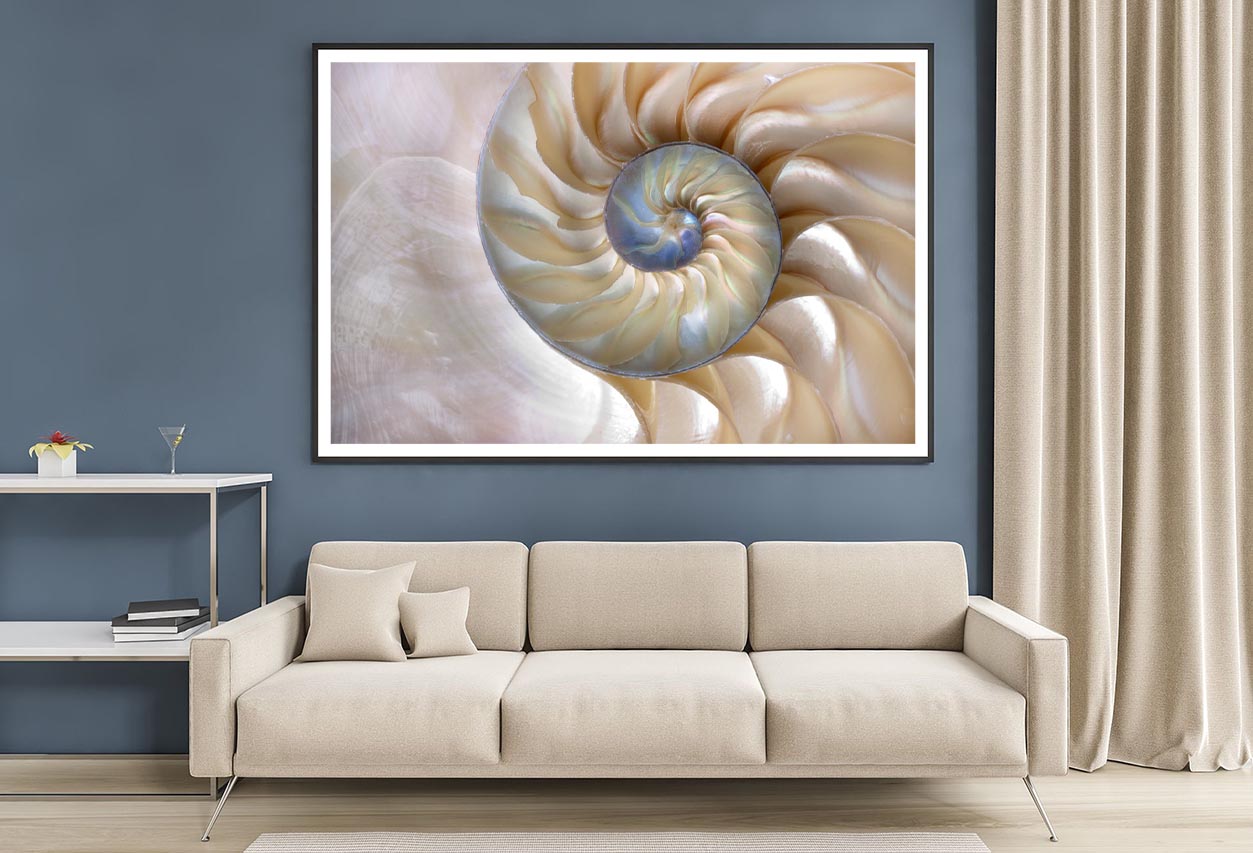 Amazing Fibonacci Pattern in A Nautilus Shell Home Decor Premium Quality Poster Print Choose Your Sizes - Bella Home Decor