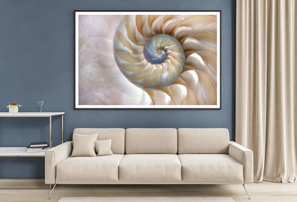 Amazing Fibonacci Pattern in A Nautilus Shell Home Decor Premium Quality Poster Print Choose Your Sizes - Bella Home Decor