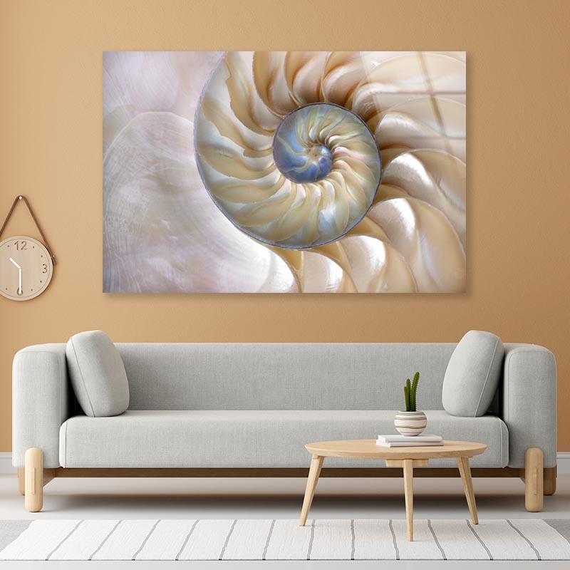 Amazing Fibonacci Pattern in A Nautilus Shell Acrylic Glass Print Tempered Glass Wall Art 100% Made in Australia Ready to Hang