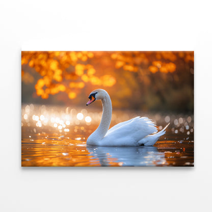 Swans on Autumn Pond View Print 100% Australian Made
