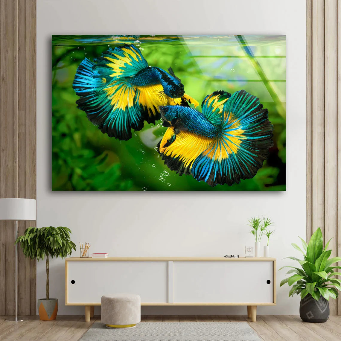 Blue & Yellow Bettas UV Direct Aluminum Print Australian Made Quality