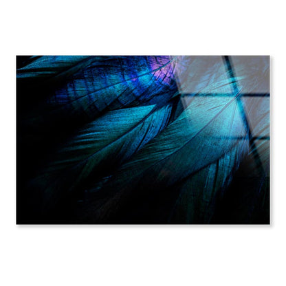 Stylish Dark Feather  Acrylic Glass Print Tempered Glass Wall Art 100% Made in Australia Ready to Hang