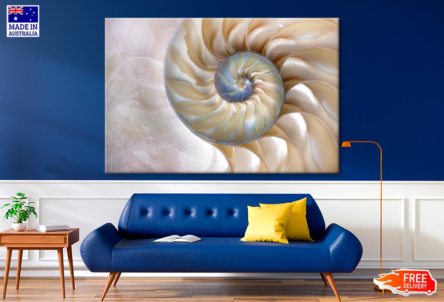 Amazing Fibonacci Pattern in A Nautilus Shell Wall Art Decor 100% Australian Made