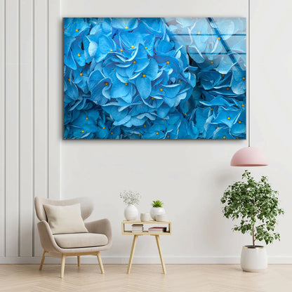 Blue Hydrangea Closeup UV Direct Aluminum Print Australian Made Quality