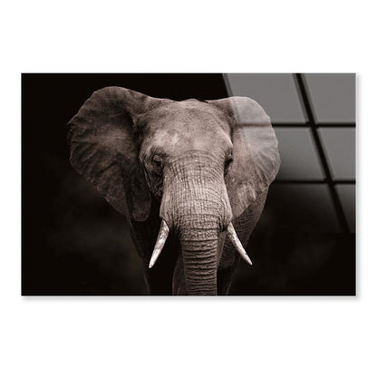 Elephant With Tusks Walking in The Dark Acrylic Glass Print Tempered Glass Wall Art 100% Made in Australia Ready to Hang