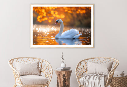 Swans on Autumn Pond View Home Decor Premium Quality Poster Print Choose Your Sizes - Bella Home Decor