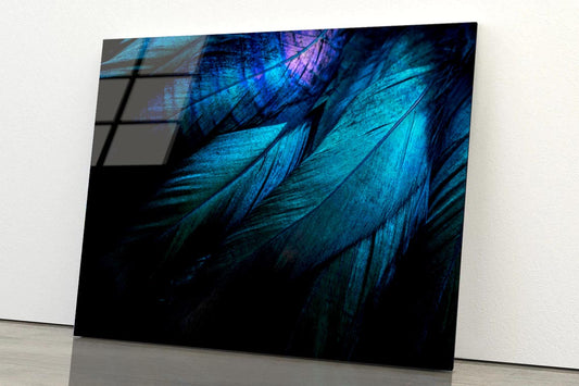 Stylish Dark Feather  Acrylic Glass Print Tempered Glass Wall Art 100% Made in Australia Ready to Hang