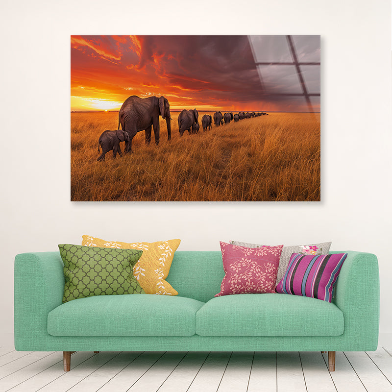 A Herd of Elephants Moving Across an Open Field Acrylic Glass Print Tempered Glass Wall Art 100% Made in Australia Ready to Hang