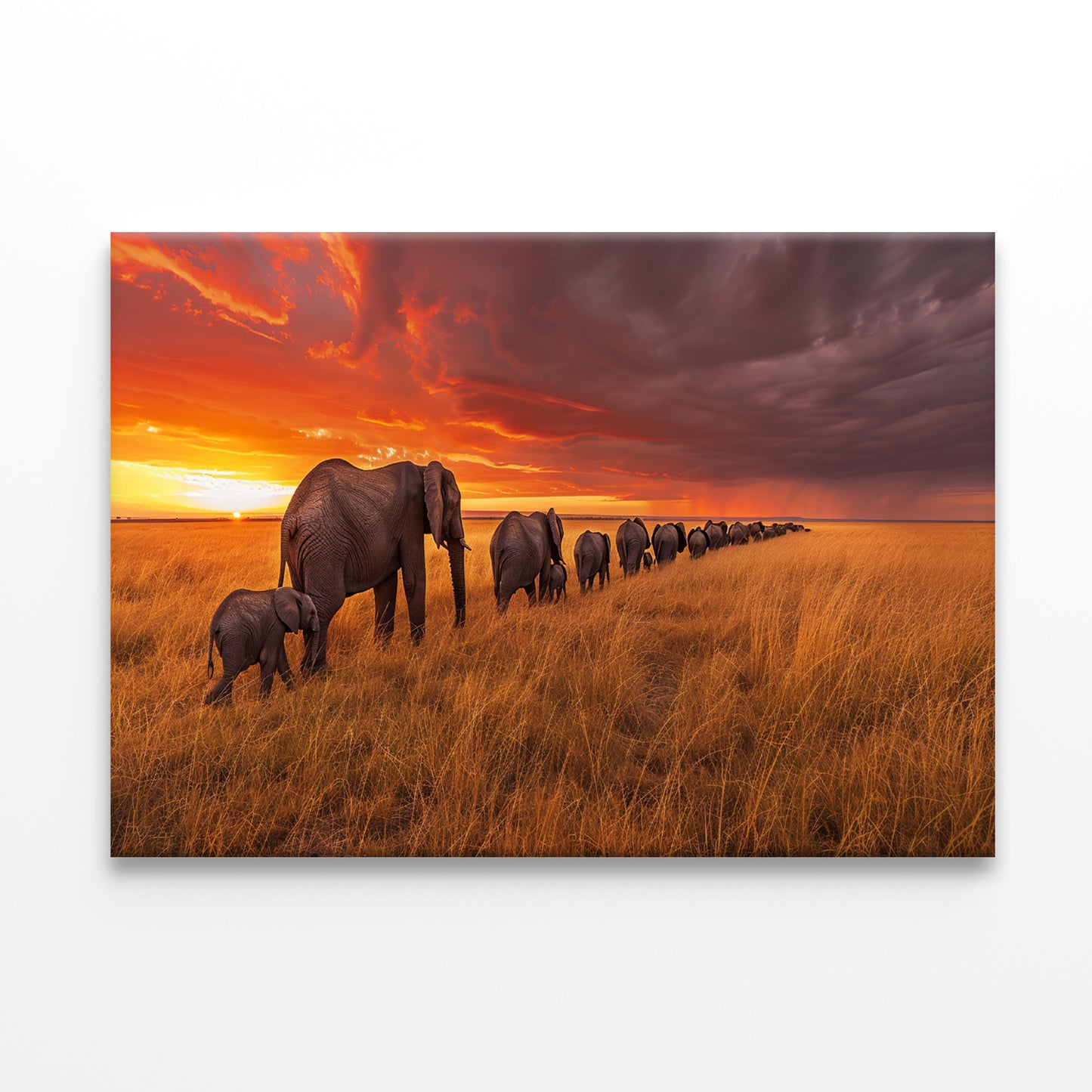 A Herd of Elephants Moving Across an Open Field Print 100% Australian Made