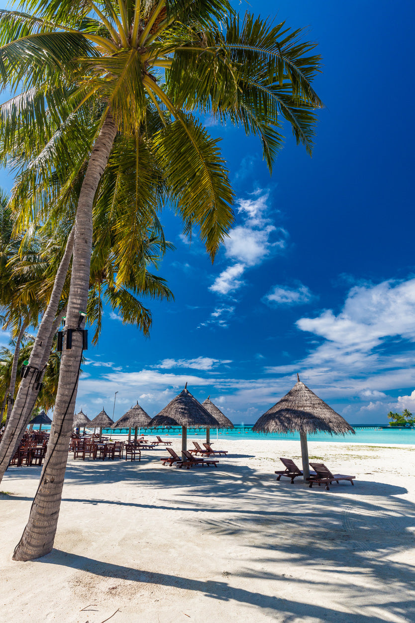 Tropical Beach in Maldives with Palm Trees Photograph Glass Framed Wall Art, Ready to Hang Quality Print