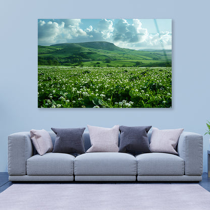Field with Blue Sky View Acrylic Glass Print Tempered Glass Wall Art 100% Made in Australia Ready to Hang - Bella Home Decor
