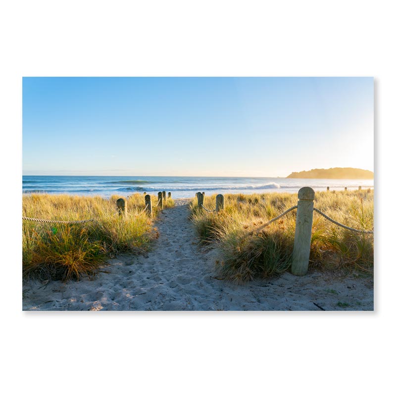 Bollards And Grassy Dunes Leading to Beach Acrylic Glass Print Tempered Glass Wall Art 100% Made in Australia Ready to Hang - Bella Home Decor