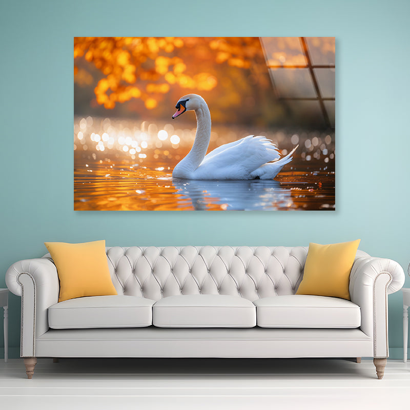 Swans on Autumn Pond View Acrylic Glass Print Tempered Glass Wall Art 100% Made in Australia Ready to Hang