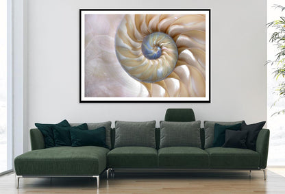 Amazing Fibonacci Pattern in A Nautilus Shell Home Decor Premium Quality Poster Print Choose Your Sizes - Bella Home Decor