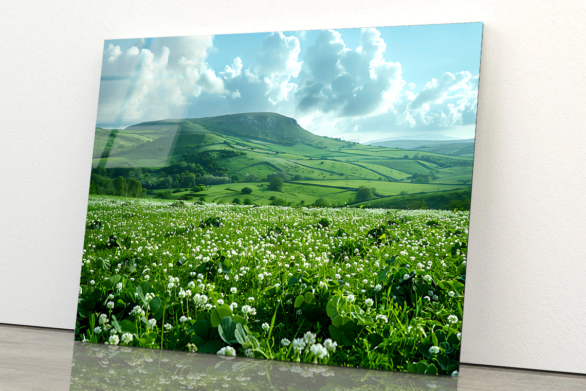 Field with Blue Sky View Acrylic Glass Print Tempered Glass Wall Art 100% Made in Australia Ready to Hang - Bella Home Decor