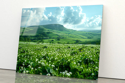 Field with Blue Sky View Acrylic Glass Print Tempered Glass Wall Art 100% Made in Australia Ready to Hang - Bella Home Decor