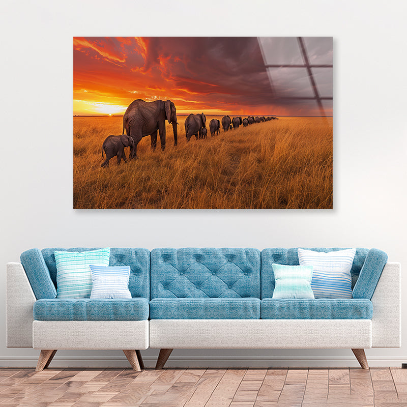 A Herd of Elephants Moving Across an Open Field Acrylic Glass Print Tempered Glass Wall Art 100% Made in Australia Ready to Hang