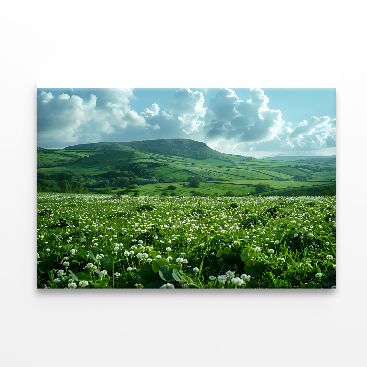 Field with Blue Sky View Print 100% Australian Made - Bella Home Decor