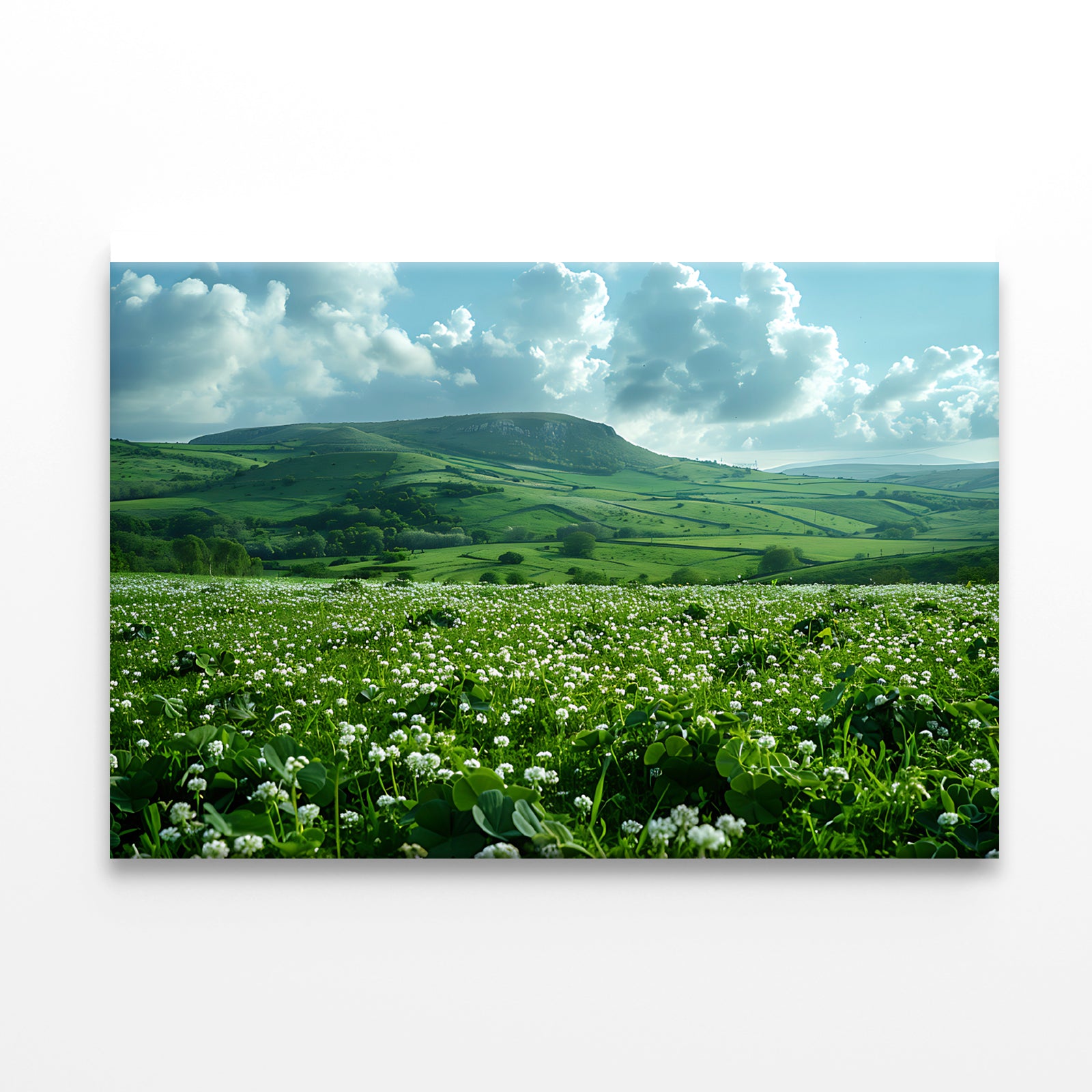 Field with Blue Sky View Print 100% Australian Made - Bella Home Decor