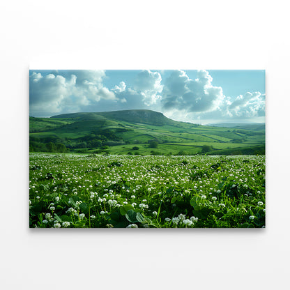 Field with Blue Sky View Print 100% Australian Made - Bella Home Decor
