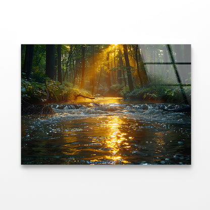 River in the Forest Acrylic Glass Print Tempered Glass Wall Art 100% Made in Australia Ready to Hang - Bella Home Decor