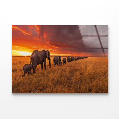 A Herd of Elephants Moving Across an Open Field Acrylic Glass Print Tempered Glass Wall Art 100% Made in Australia Ready to Hang