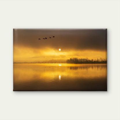 Golden Morning Sunrise At The Junam Reservoir South Korea Wall Art Decor 100% Australian Made