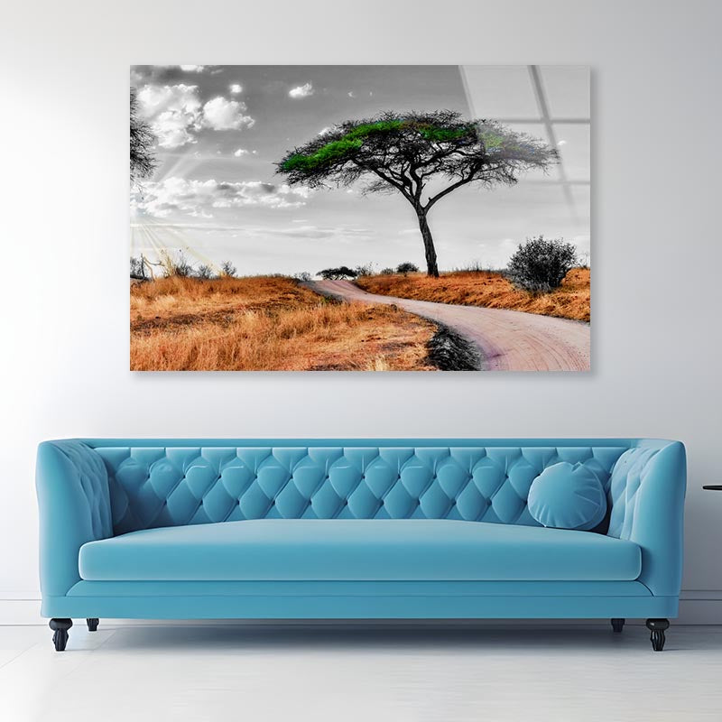 Green Tree with Meadow Road Acrylic Glass Print Tempered Glass Wall Art 100% Made in Australia Ready to Hang